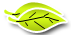 Ostatni