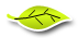 Nastpny